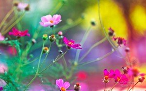 0252bf93-ce9c-4342-bc7b-4affe2985852_9
